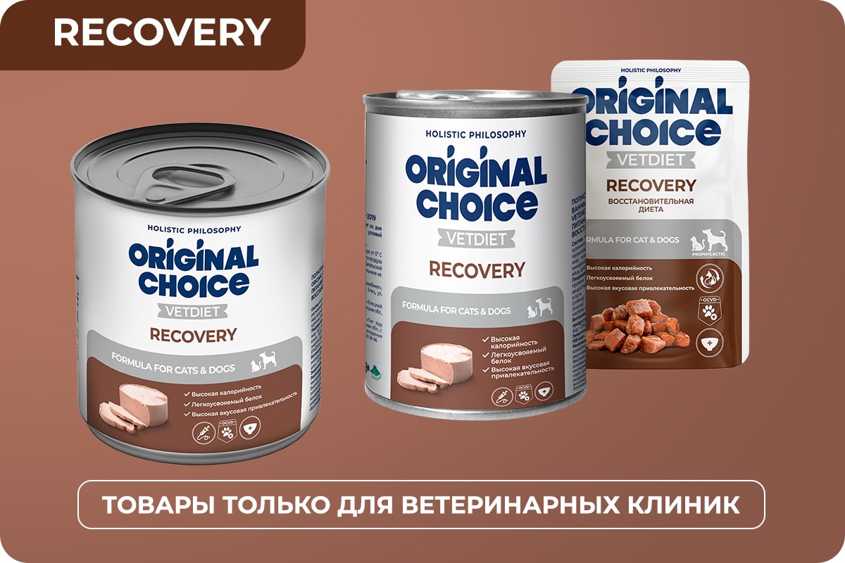 Original Choice Vetdiet Recovery